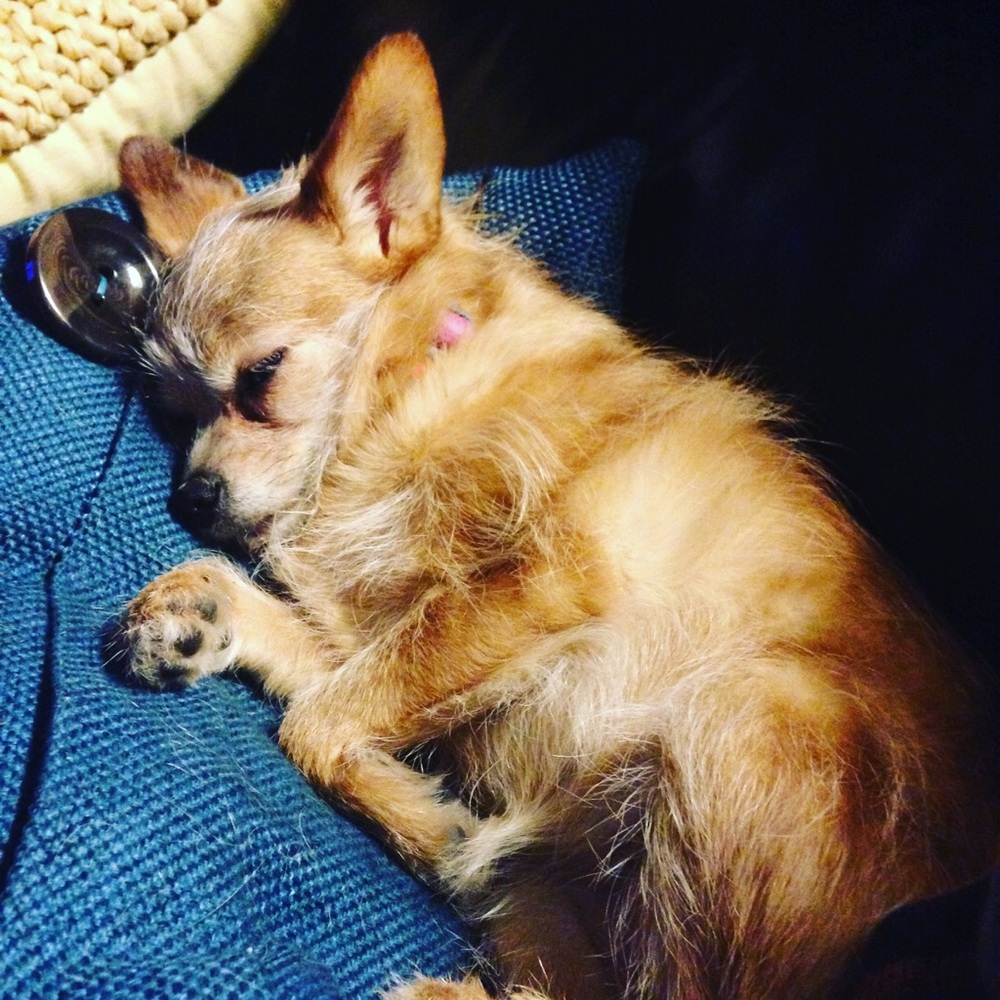 Meet your Posher, Angela